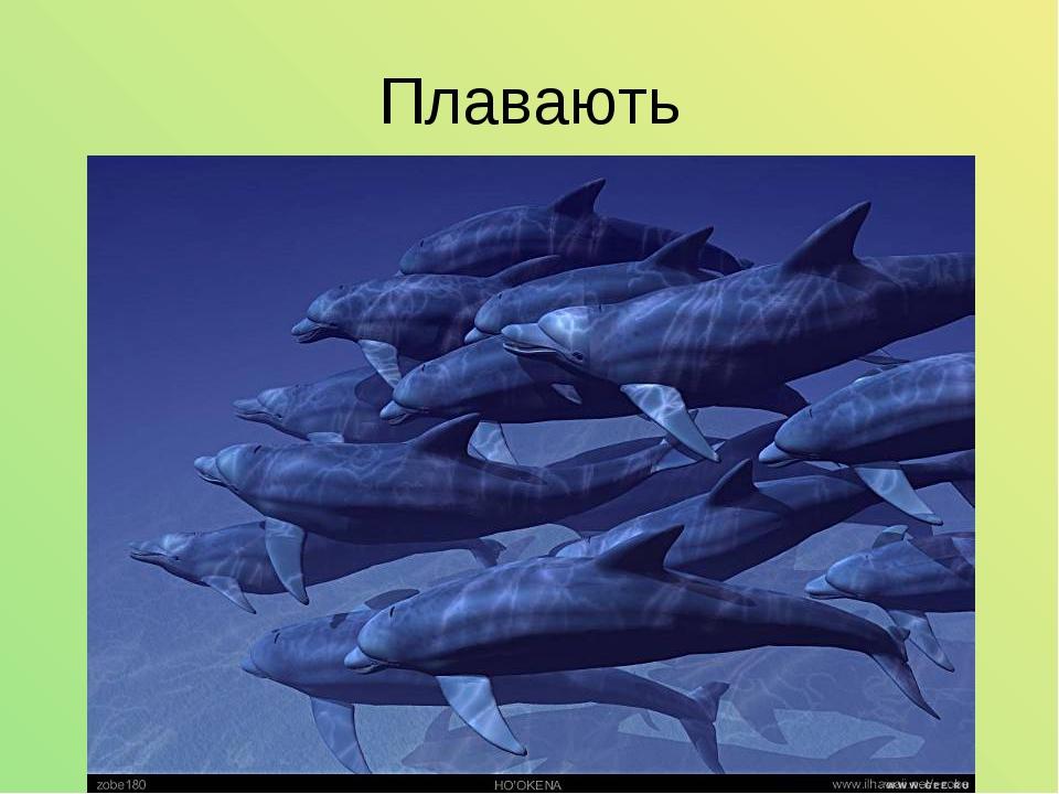 Плавають