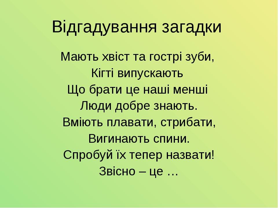 Відгадування загадки Мають хвіст та гострі зуби, Кігті випускають Що брати це наші менші Люди добре знають. Вміють плавати, стрибати, Вигинають спи...