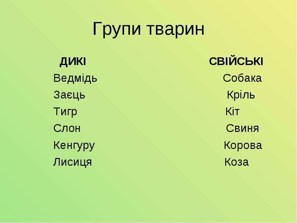 Групи тварин ДИКІ СВІЙСЬКІ Ведмідь Собака Заєць Кріль Тигр Кіт Слон Свиня Кенгуру Корова Лисиця Коза