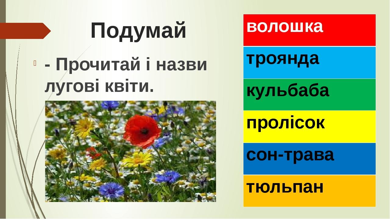 Подумай - Прочитай і назви лугові квіти. волошка троянда кульбаба пролісок сон-трава тюльпан