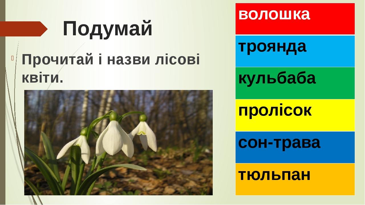 Подумай Прочитай і назви лісові квіти. волошка троянда кульбаба пролісок сон-трава тюльпан