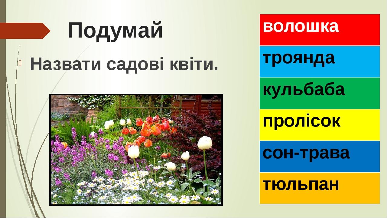 Подумай Назвати садові квіти. волошка троянда кульбаба пролісок сон-трава тюльпан