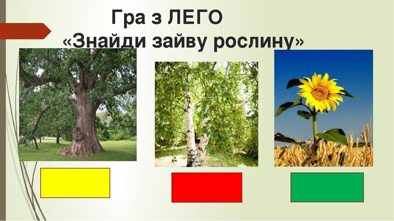 Гра з ЛЕГО «Знайди зайву рослину»