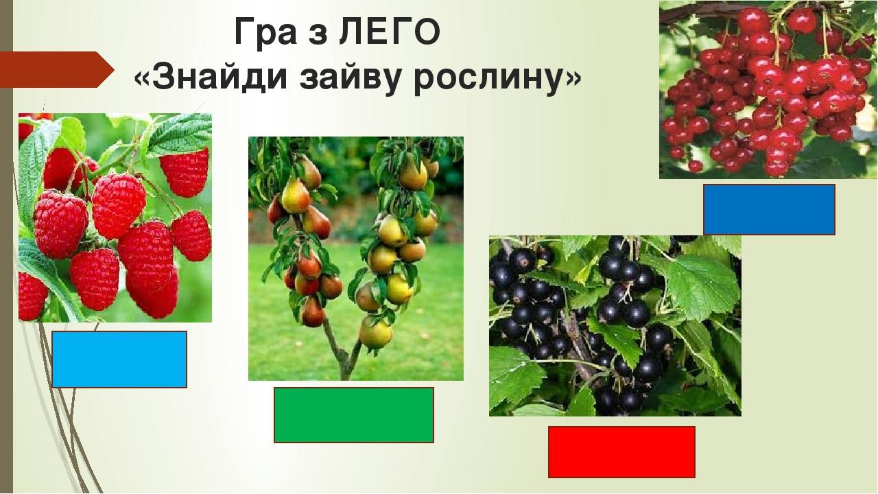Гра з ЛЕГО «Знайди зайву рослину»