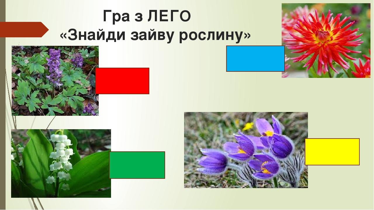Гра з ЛЕГО «Знайди зайву рослину»