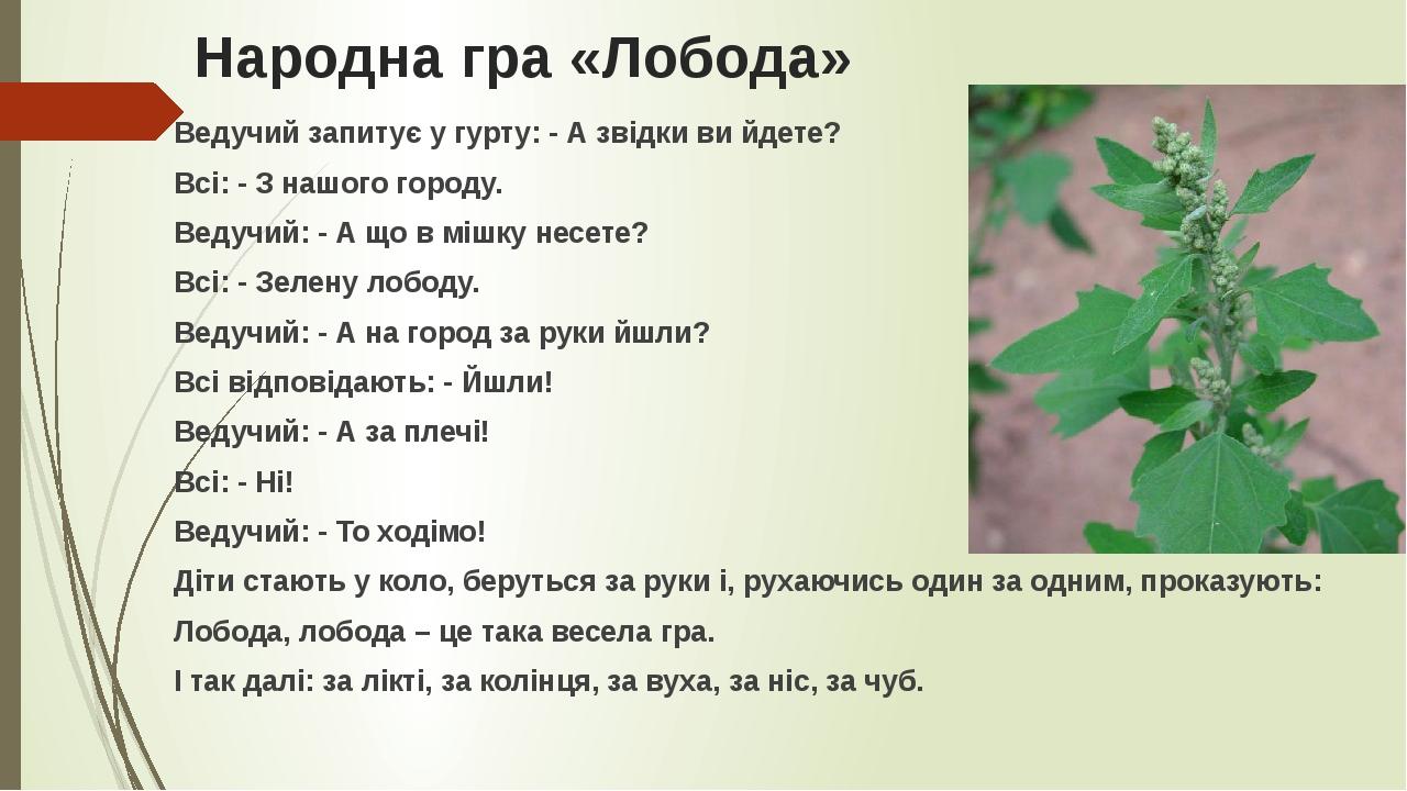 Народна гра «Лобода» Ведучий запитує у гурту: - А звідки ви йдете? Всі: - З нашого городу. Ведучий: - А що в мішку несете? Всі: - Зелену лободу. Ве...