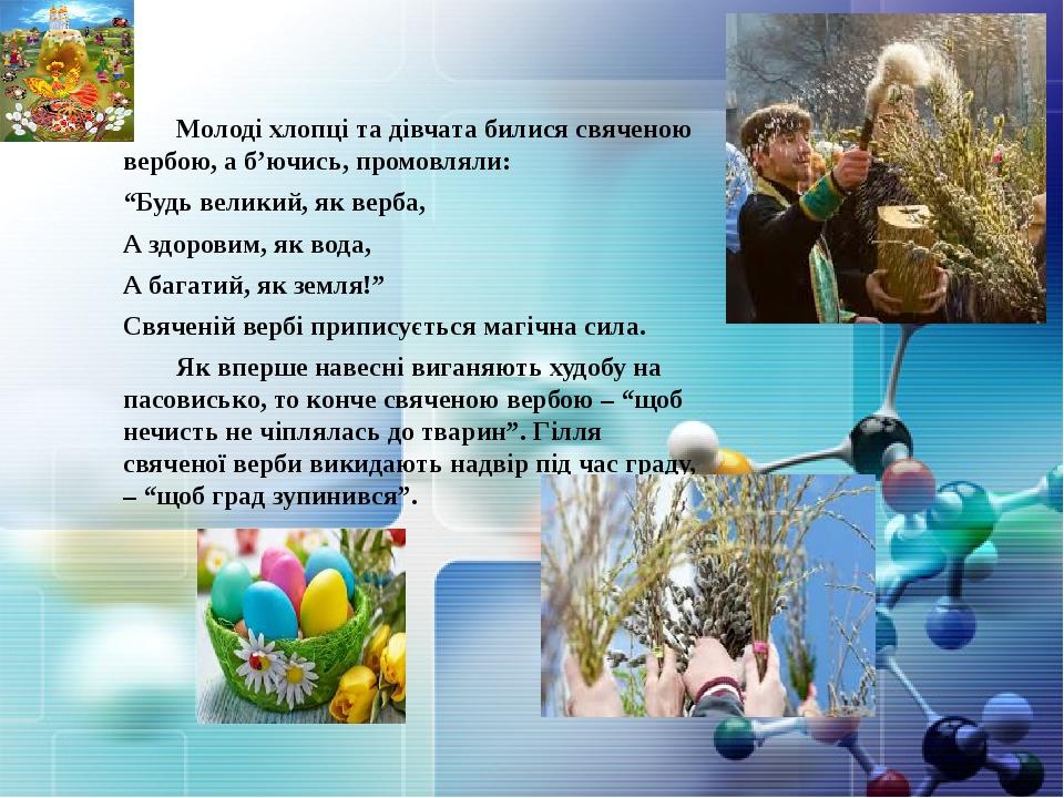 Молоді хлопці та дівчата билися свяченою вербою, а б’ючись, промовляли: “Будь великий, як верба, А здоровим, як вода, А багатий, як земля!” Свячені...