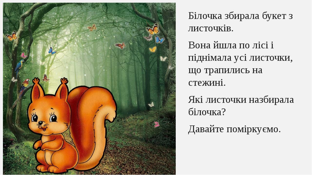 Білочка збирала букет з листочків. Вона йшла по лісі і піднімала усі листочки, що трапились на стежині. Які листочки назбирала білочка? Давайте пом...