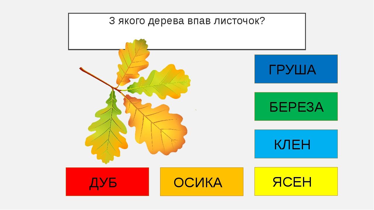 З якого дерева впав листочок? ДУБ ОСИКА ЯСЕН КЛЕН БЕРЕЗА ГРУША