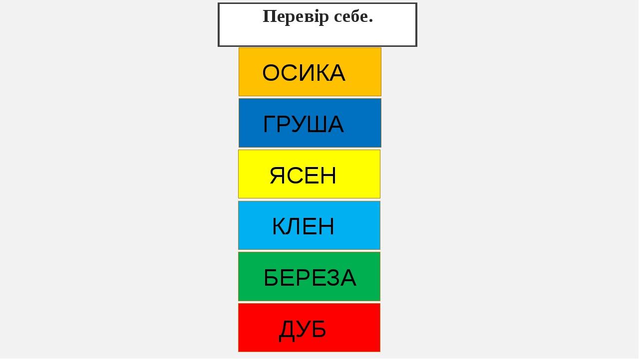 Перевір себе. ДУБ ОСИКА ЯСЕН КЛЕН БЕРЕЗА ГРУША