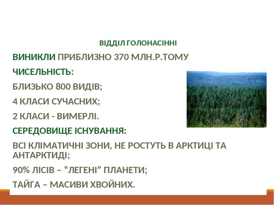 Загальна характеристика ВІДДІЛ ГОЛОНАСІННІ ВИНИКЛИ ПРИБЛИЗНО 370 МЛН.Р.ТОМУ ЧИСЕЛЬНІСТЬ: БЛИЗЬКО 800 ВИДІВ; 4 КЛАСИ СУЧАСНИХ; 2 КЛАСИ - ВИМЕРЛІ. СЕ...