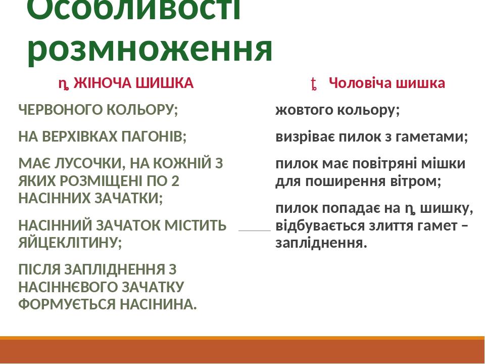 Особливості розмноження ♀ ЖІНОЧА ШИШКА ЧЕРВОНОГО КОЛЬОРУ; НА ВЕРХІВКАХ ПАГОНІВ; МАЄ ЛУСОЧКИ, НА КОЖНІЙ З ЯКИХ РОЗМІЩЕНІ ПО 2 НАСІННИХ ЗАЧАТКИ; НАСІ...