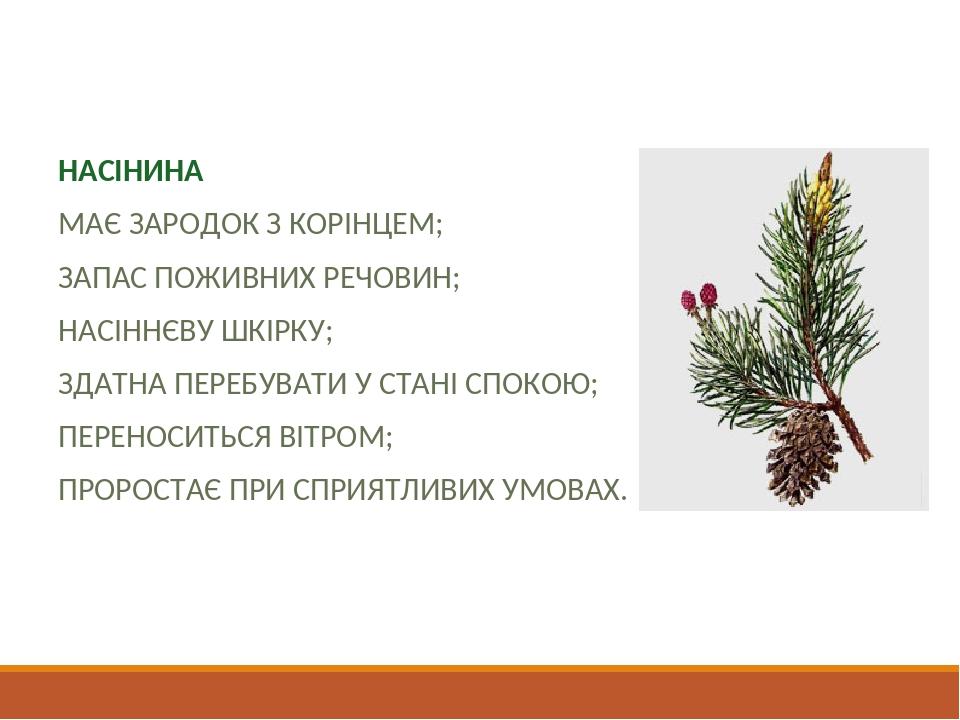 Особливості будови насінини НАСІНИНА МАЄ ЗАРОДОК З КОРІНЦЕМ; ЗАПАС ПОЖИВНИХ РЕЧОВИН; НАСІННЄВУ ШКІРКУ; ЗДАТНА ПЕРЕБУВАТИ У СТАНІ СПОКОЮ; ПЕРЕНОСИТЬ...