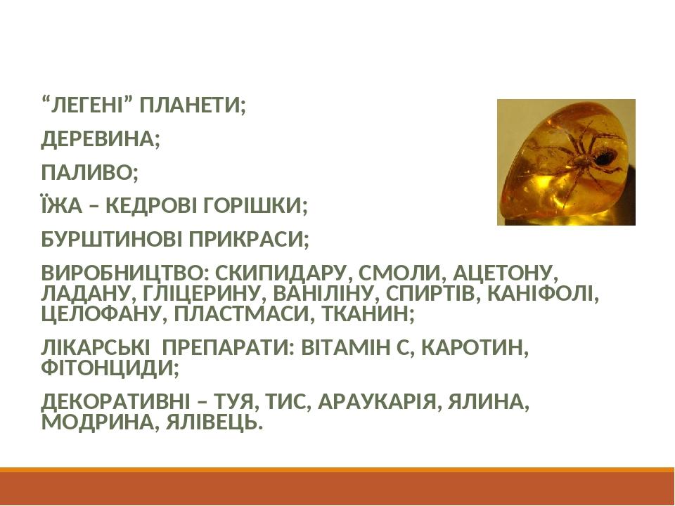 Практичне значення “ЛЕГЕНІ” ПЛАНЕТИ; ДЕРЕВИНА; ПАЛИВО; ЇЖА – КЕДРОВІ ГОРІШКИ; БУРШТИНОВІ ПРИКРАСИ; ВИРОБНИЦТВО: СКИПИДАРУ, СМОЛИ, АЦЕТОНУ, ЛАДАНУ, ...