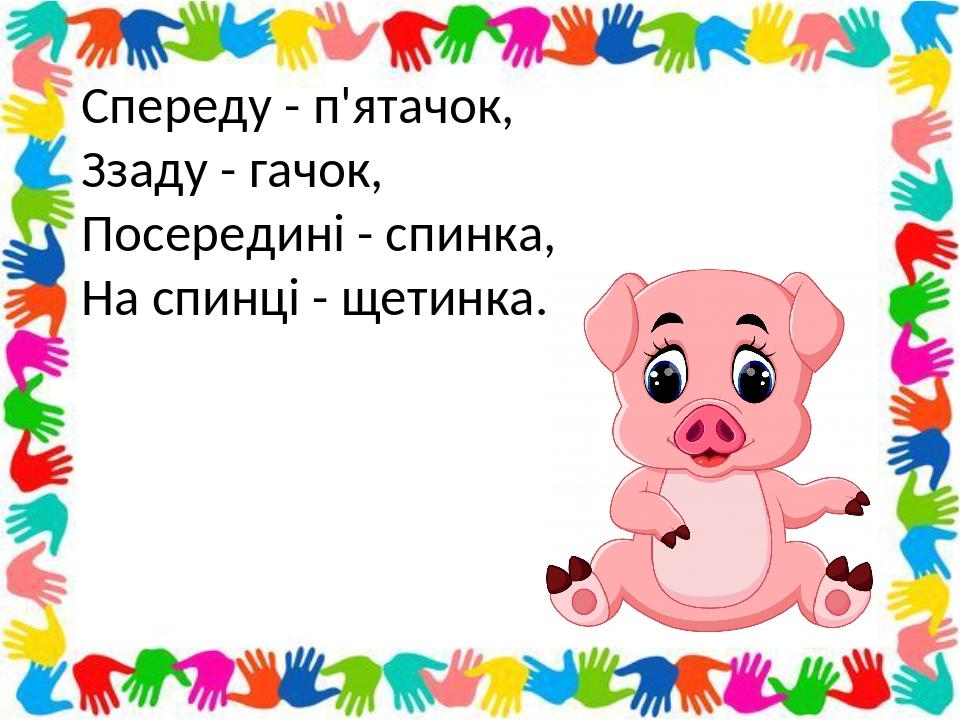 Презентація &quot;Загадки про тварин&quot; | Презентація. Дидактичні матеріали