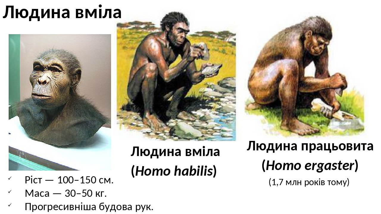 Презентація "Еволюція людини. Походження життя"