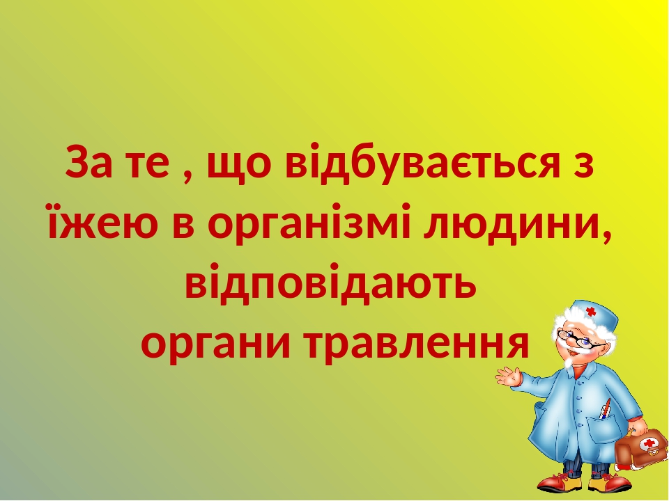 За те , що відбувається з їжею в організмі людини, відповідають органи травлення