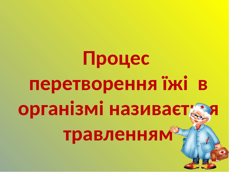 Процес перетворення їжі в організмі називається травленням