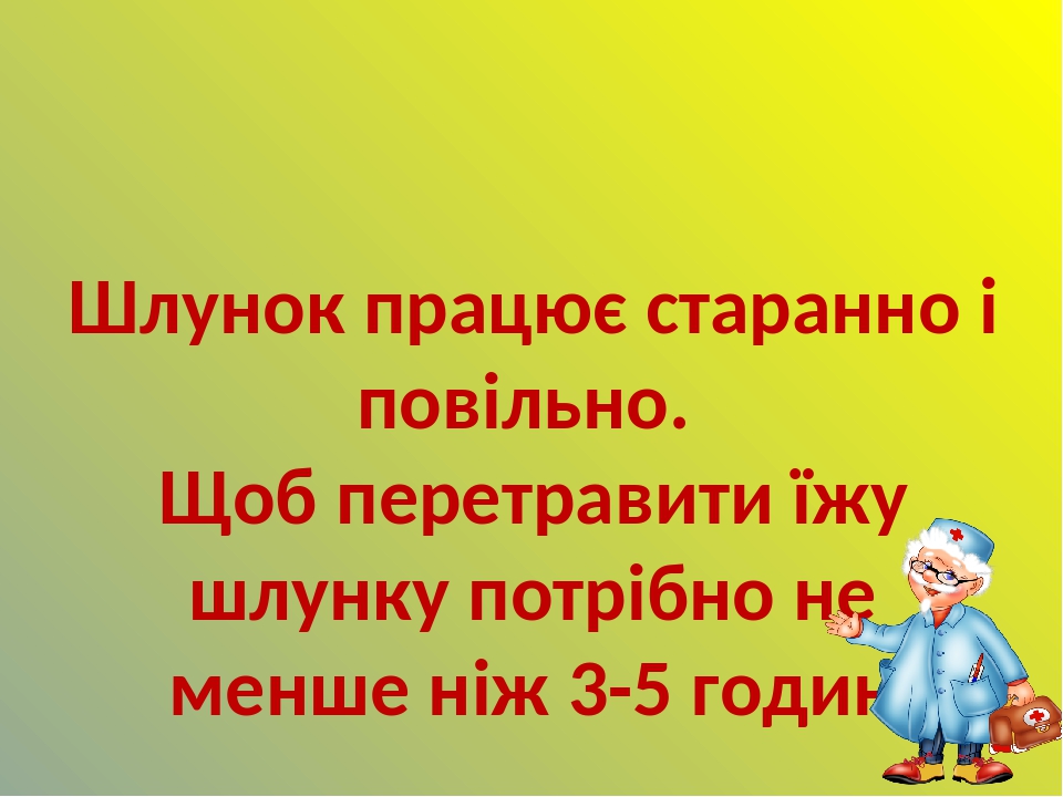 Шлунок працює старанно і повільно. Щоб перетравити їжу шлунку потрібно не менше ніж 3-5 годин