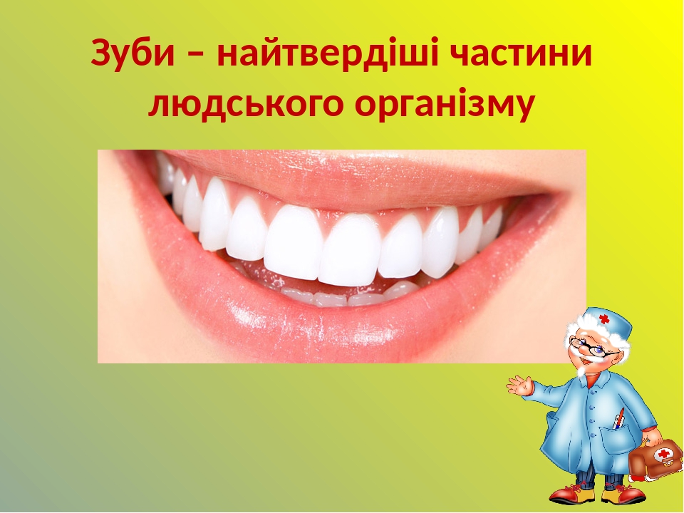 Зуби – найтвердіші частини людського організму