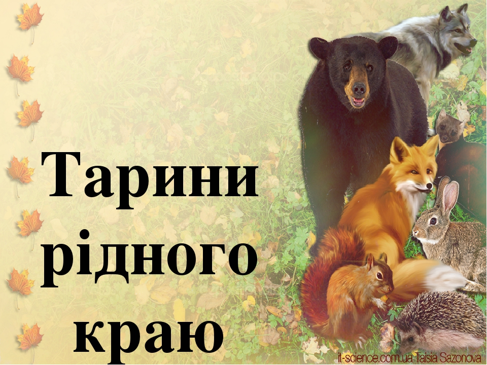 Презентація "Тварини рідного краю"