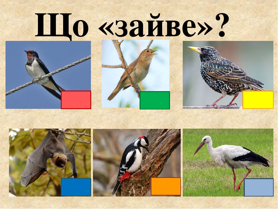 Що «зайве»?