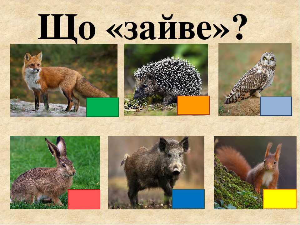 Що «зайве»?