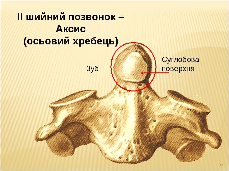 Аксис ситроен жукова