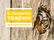 5 секретів тварин для допитливих