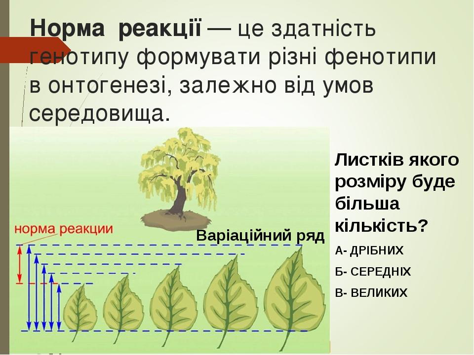 Норма реакції — це здатність генотипу формувати різні фенотипи в онтогенезі, залежно від умов середовища. Варіаційний ряд Листків якого розміру буд...