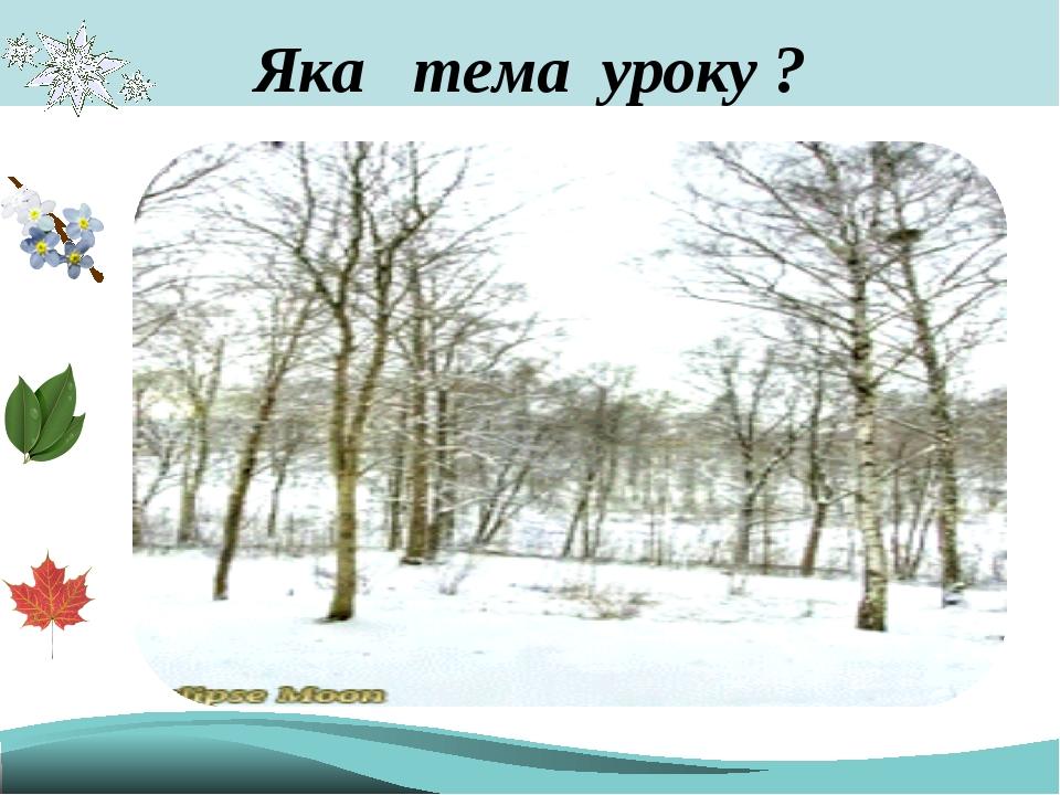 Яка тема уроку ?