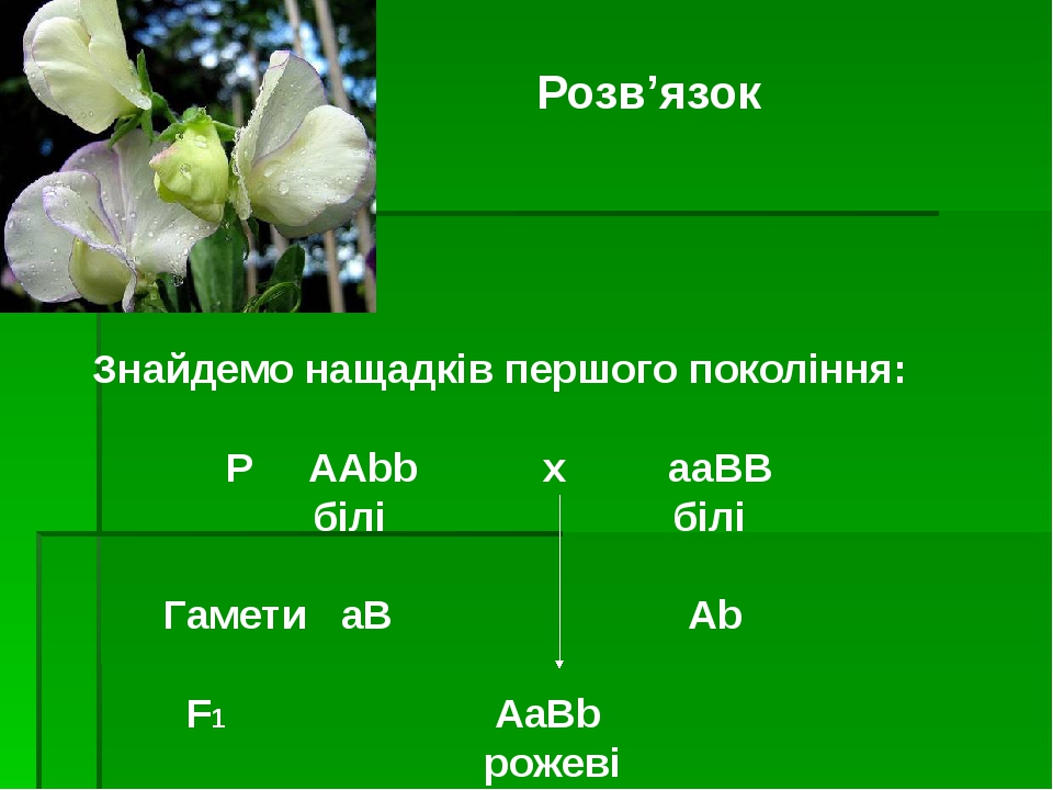 Схема aabb х аавв иллюстрирует скрещивание