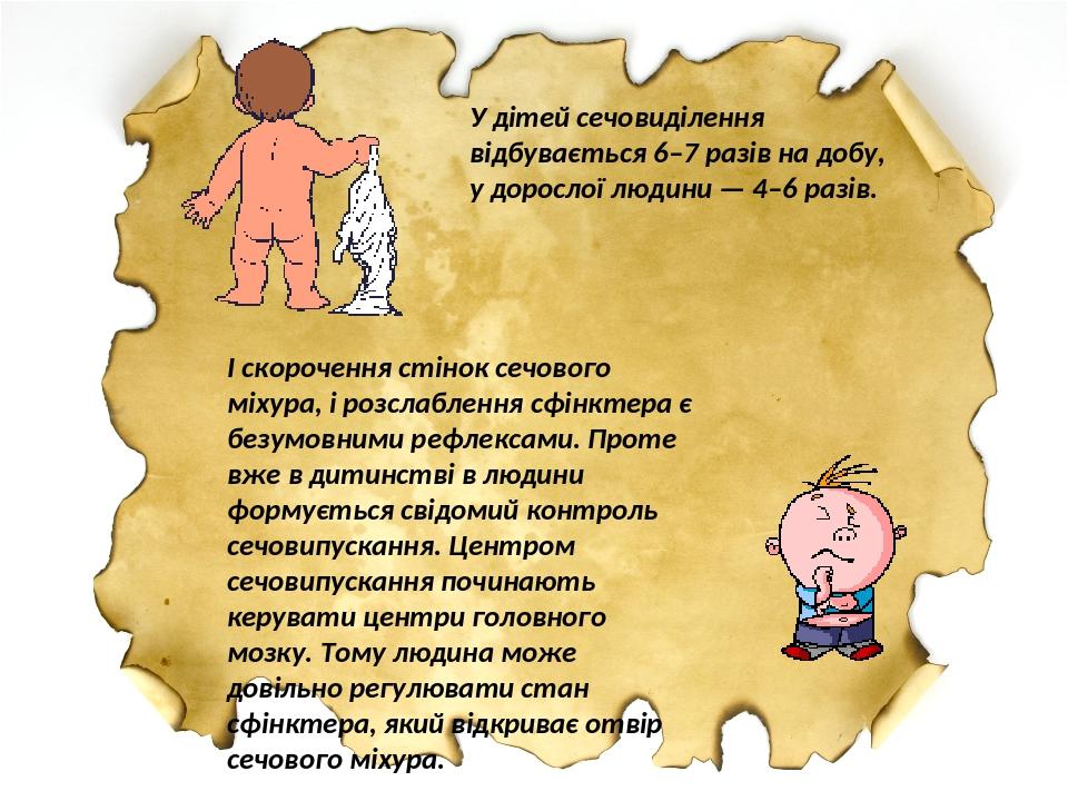 У дітей сечовиділення відбувається 6–7 разів на добу, у дорослої людини — 4–6 разів. І скорочення стінок сечового міхура, і розслаблення сфінктера ...
