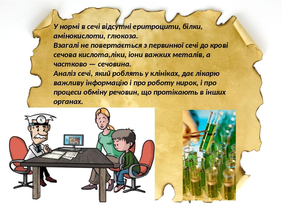 У нормі в сечі відсутні еритроцити, білки, амінокислоти, глюкоза. Взагалі не повертається з первинної сечі до крові сечова кислота,ліки, іони важки...