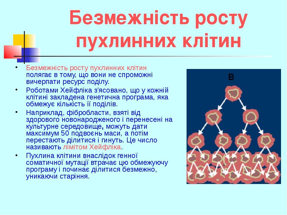 Безмежність росту пухлинних клітин Безмежність росту пухлинних клітин полягає в тому, що вони не спроможні вичерпати ресурс поділу. Роботами Хейфлі...