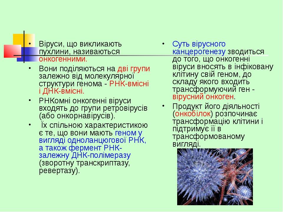 Віруси, що викликають пухлини, називаються онкогенними. Вони поділяються на дві групи залежно від молекулярної структури генома - РНК-вмісні і ДНК-...