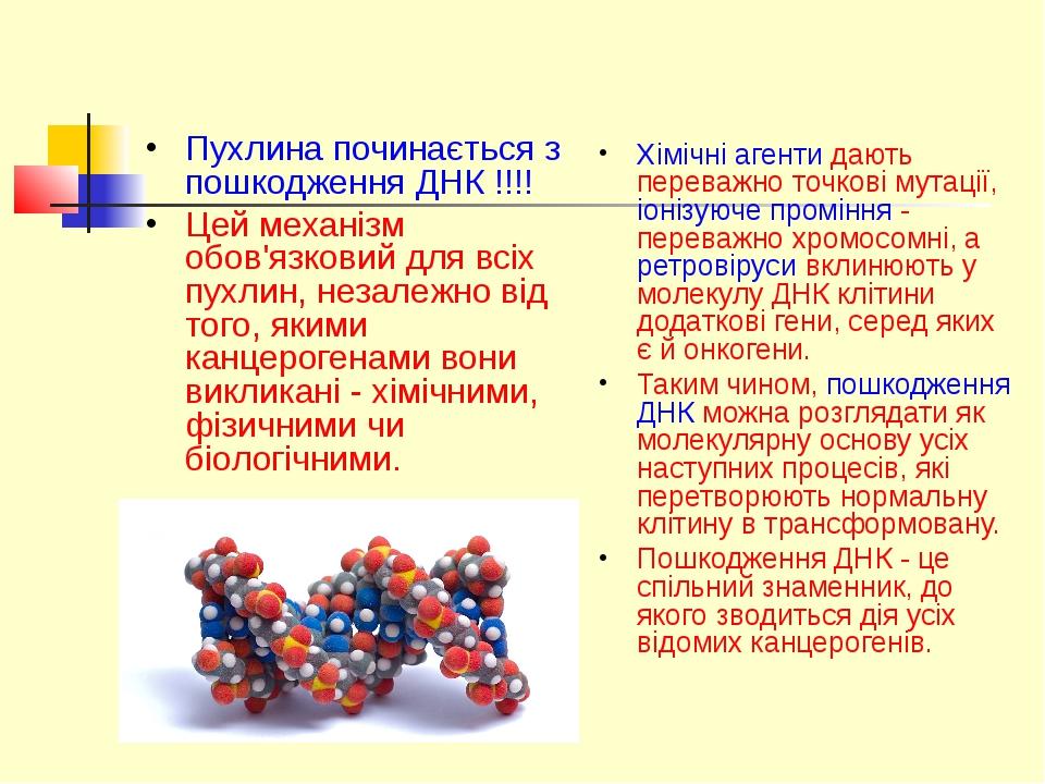 Пухлина починається з пошкодження ДНК !!!! Цей механізм обов'язковий для всіх пухлин, незалежно від того, якими канцерогенами вони викликані - хімі...