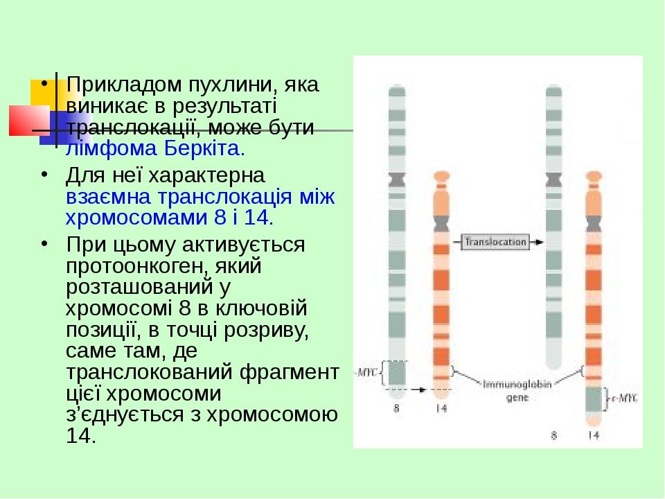 Прикладом пухлини, яка виникає в результаті транслокації, може бути лімфома Беркіта. Для неї характерна взаємна транслокація між хромосомами 8 і 14...