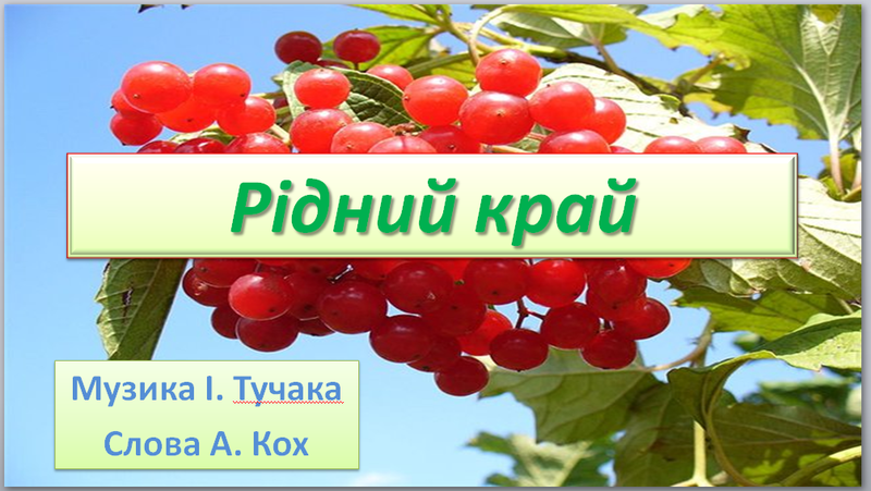 010048sd-9204-800x451.png