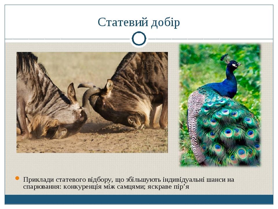 Статевий добір Приклади статевого відбору, що збільшують індивідуальні шанси на спарювання: конкуренція між самцями; яскраве пір’я