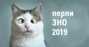 «Над прірвою у рожі», або найсмачніші перли із ЗНО-2019