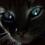 Прокопенко Black-cat Vlad