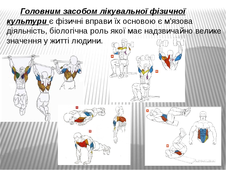 Головним засобом лікувальної фізичної культури є фізичні вправи їх основою є м'язова діяльність, біологічна роль якої має надзвичайно велике значен...