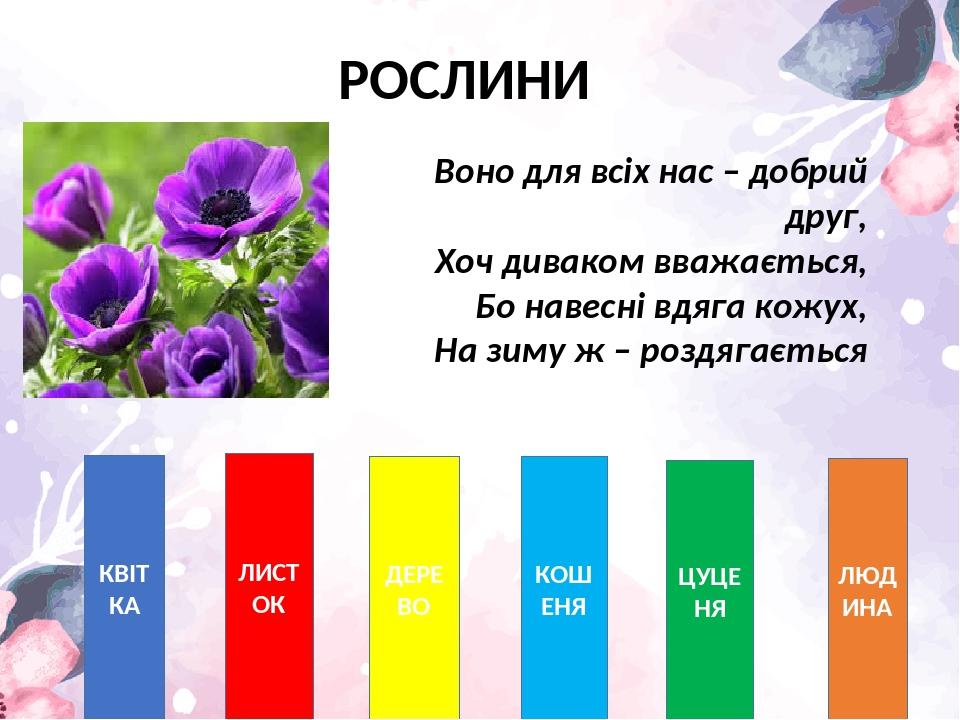 РОСЛИНИ КВІТКА ЛИСТОК ДЕРЕВО КОШЕНЯ ЦУЦЕНЯ ЛЮДИНА Воно для всіх нас – добрий друг, Хоч диваком вважається, Бо навесні вдяга кожух, На зиму ж – розд...