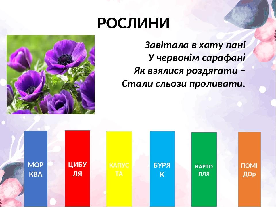 РОСЛИНИ МОРКВА ЦИБУЛЯ КАПУСТА БУРЯК КАРТОПЛЯ ПОМІДОр Завітала в хату пані У червонім сарафані Як взялися роздягати – Стали сльози проливати.