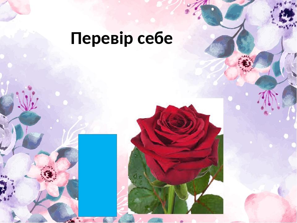 Перевір себе