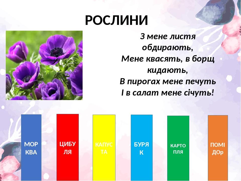 РОСЛИНИ МОРКВА ЦИБУЛЯ КАПУСТА БУРЯК КАРТОПЛЯ ПОМІДОр З мене листя обдирають, Мене квасять, в борщ кидають, В пирогах мене печуть І в салат мене січ...
