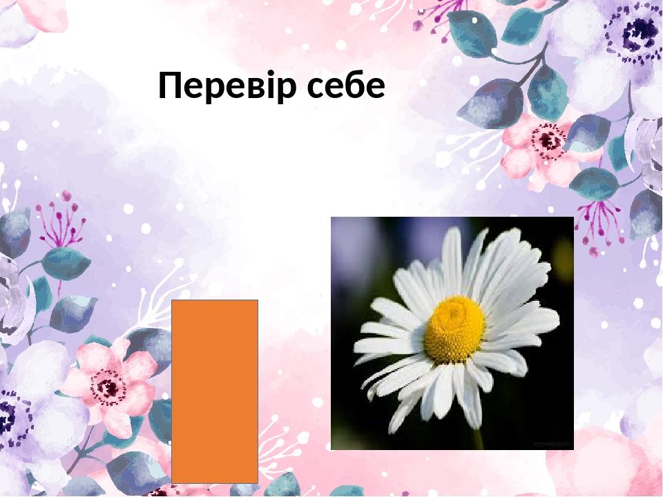 Перевір себе