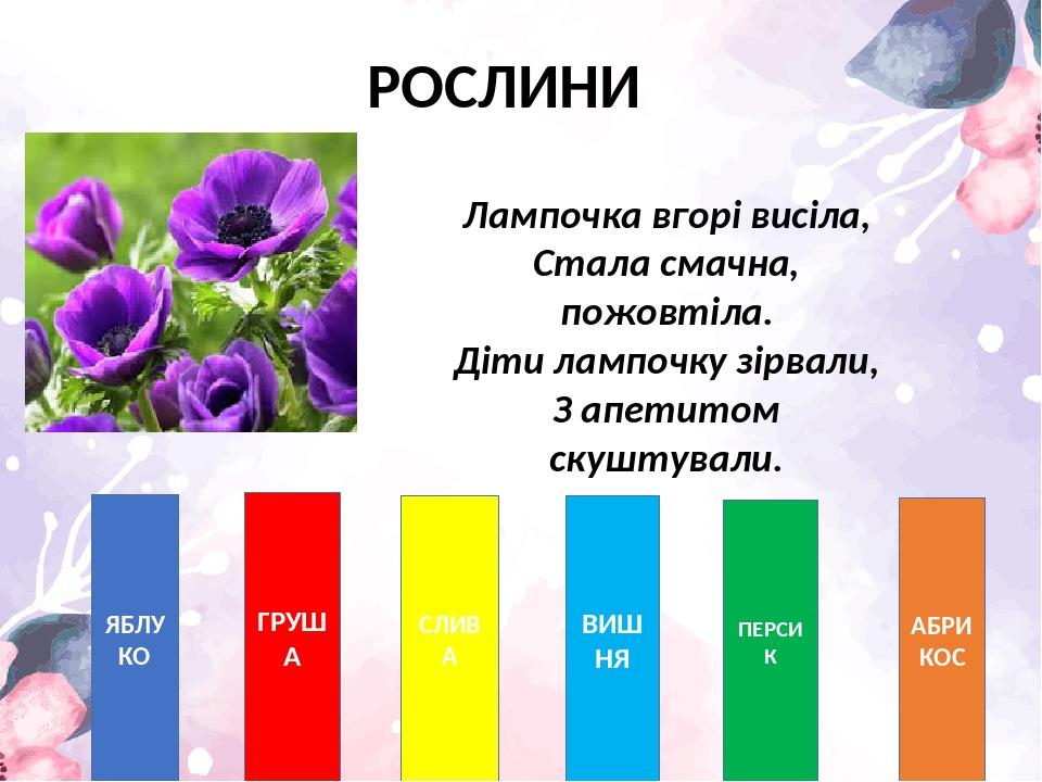 РОСЛИНИ ЯБЛУКО ГРУША СЛИВА ВИШНЯ ПЕРСИК АБРИКОС Лампочка вгорі висіла, Стала смачна, пожовтіла. Діти лампочку зірвали, З апетитом скуштували.