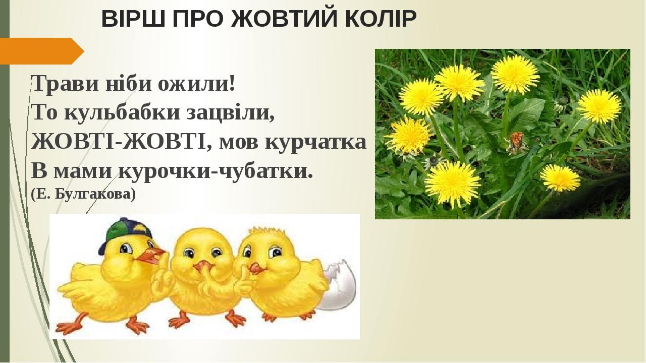 ВІРШ ПРО ЖОВТИЙ КОЛІР Трави ніби ожили! То кульбабки зацвіли, ЖОВТІ-ЖОВТІ, мов курчатка В мами курочки-чубатки. (Е. Булгакова)